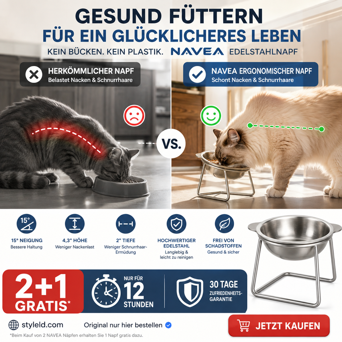 🥣2 kaufen, 1 gratis✨ Orthopädischer, um 15° geneigter Napf – Müheloses Essen, verringert das Risiko des Verschluckens und hilft Kindern und älteren Menschen, selbstständig zu essen 👶👴
